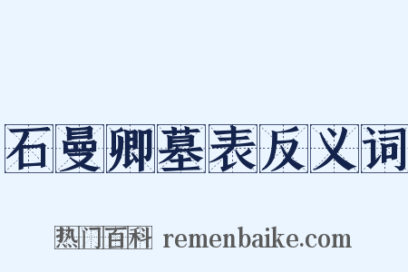 石曼卿墓表反义词是什么意思的图片